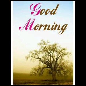 Meet your Posher, Page